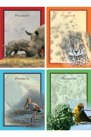 African Safari - Large Bookplates (Pack of 4)