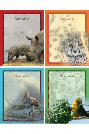 African Safari - Small Bookplates (Pack of 8)