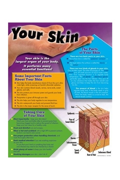Your Skin Chart