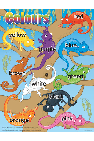 Ozzie Chameleons Colour Chart (Previous Design)