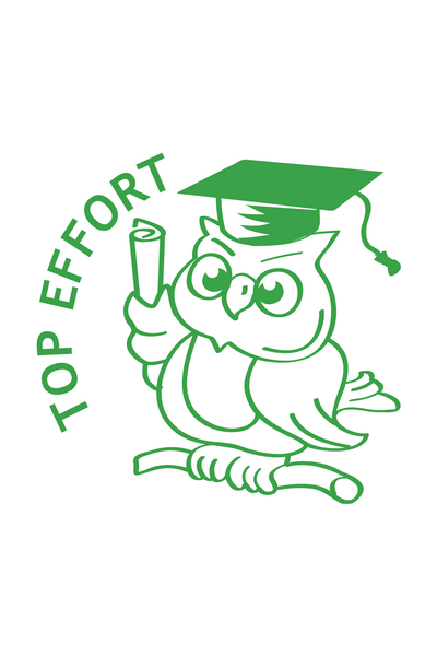 Top Effort Owl - Merit Stamp (Previous Design)