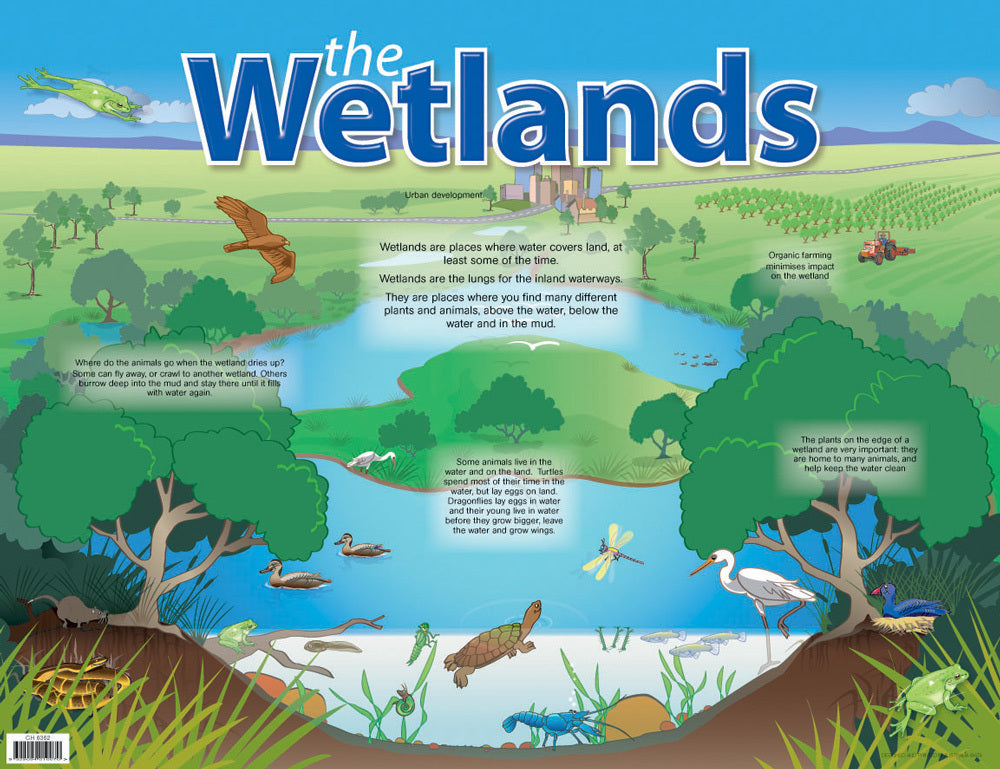 The Wetlands Chart