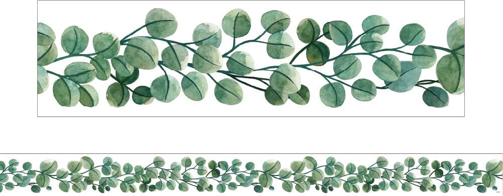 Eucalyptus - Large Border (Pack of 12)