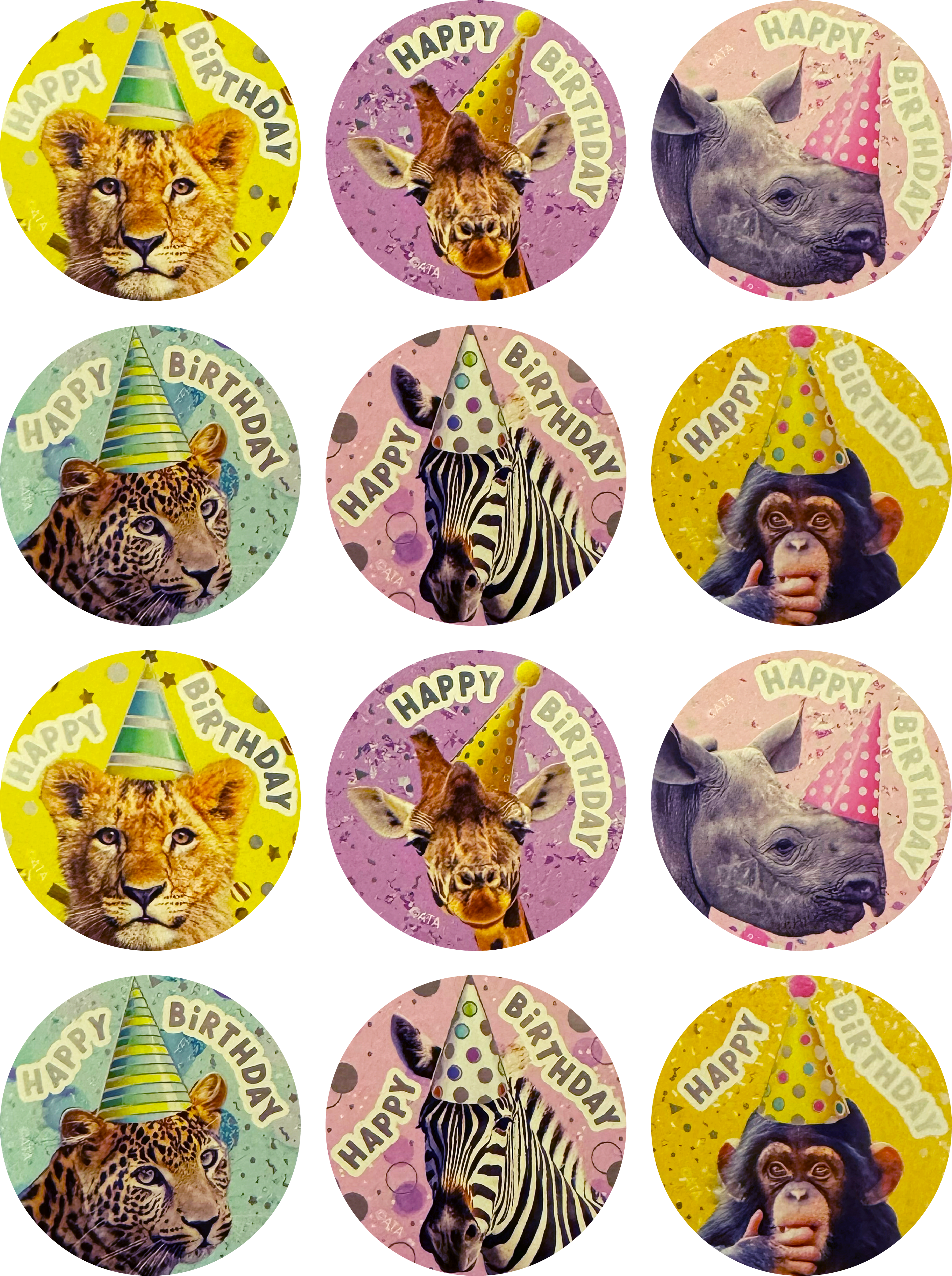 Happy Birthday (Jungle Animals) - Foil Photo Merit Stickers (Pack of 48)
