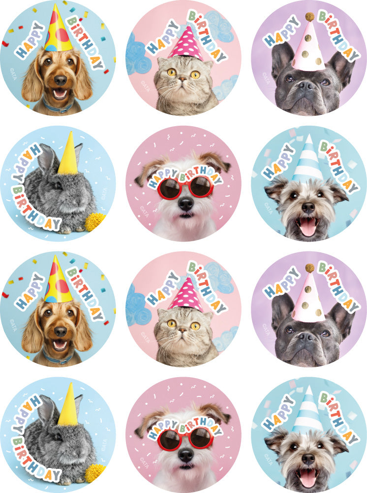 Happy Birthday (Pets) - Photo Merit Stickers (Pack of 48)