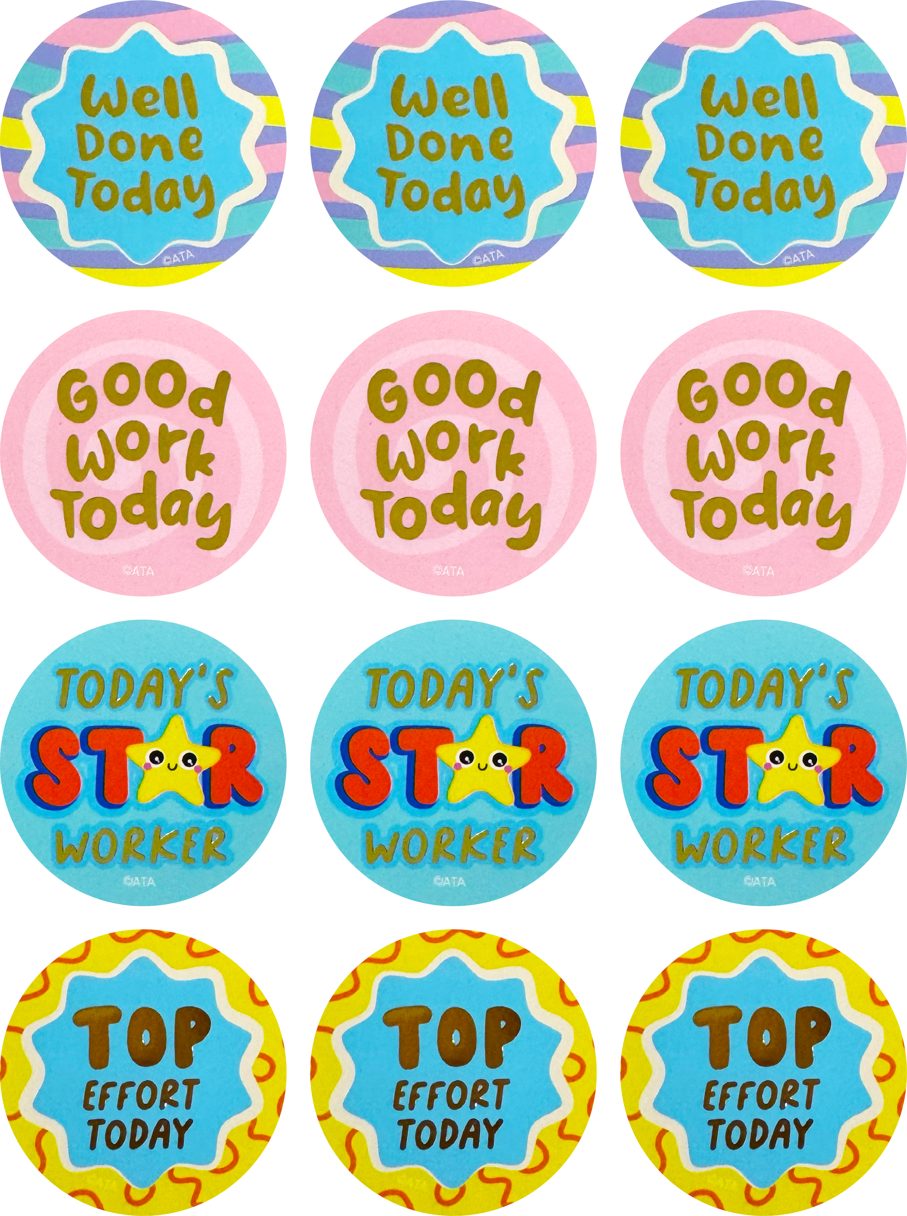 Well Done Today Large Merit Stickers
